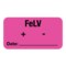 Nevs Label, FeLV Date_ 7/8 x 1-5/8 Flr Pink w/Black LW-0018 - alternate 1